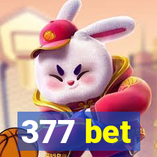 377 bet